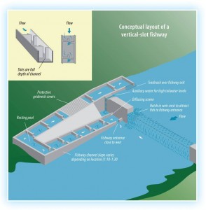 Figure 1 Conceptual design of a vertical-slot fishway (Image: Fisheries NSW).