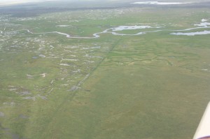 Aerial view of Great Cumbung Swamp core reed bed and Lachlan River channel (Image: Fin Martin, Lachlan CMA, February 2010)