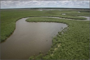 Meandering Lachlan River in the Great Cumbung Swamp (Simon Hunter, OEH, 21 December 2010).