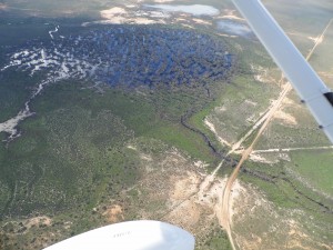 Aerial view of Murrumbidgil Swamp during OEH observational monitoring flight (Image: Paul Packard and List Thurtell, OEH, 24 April 2012)