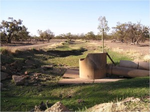 Example of decommissioned Noonamah Water Scheme channel frog habitat (Image: Norman Wise, NoW, November 2012)