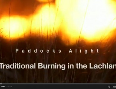 Paddocks Alight: Traditional Burning in the Lachlan video