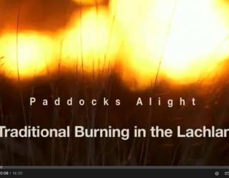 Paddocks Alight: Traditional Burning in the Lachlan video